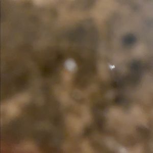 Meet your Posher, Ines